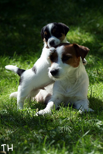100625_roope ja inka.jpg - Roope & Inkula
